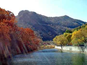 管家婆黑白马报图库，地球守护神